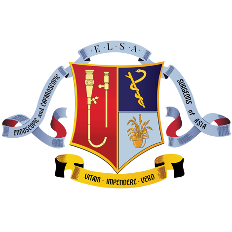 ELSA industry partner logo